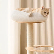 Árbol Rascador Moderno para Gatos con Cápsula Transparente